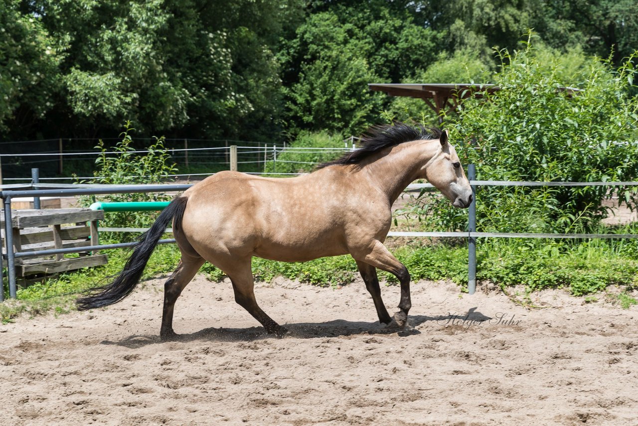 Bild 170 - Vivi